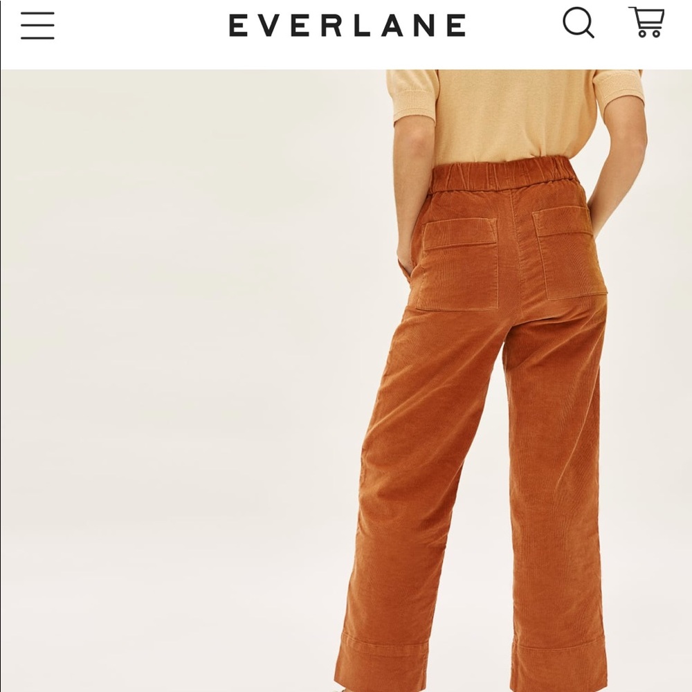 Everlane easy pant size 4